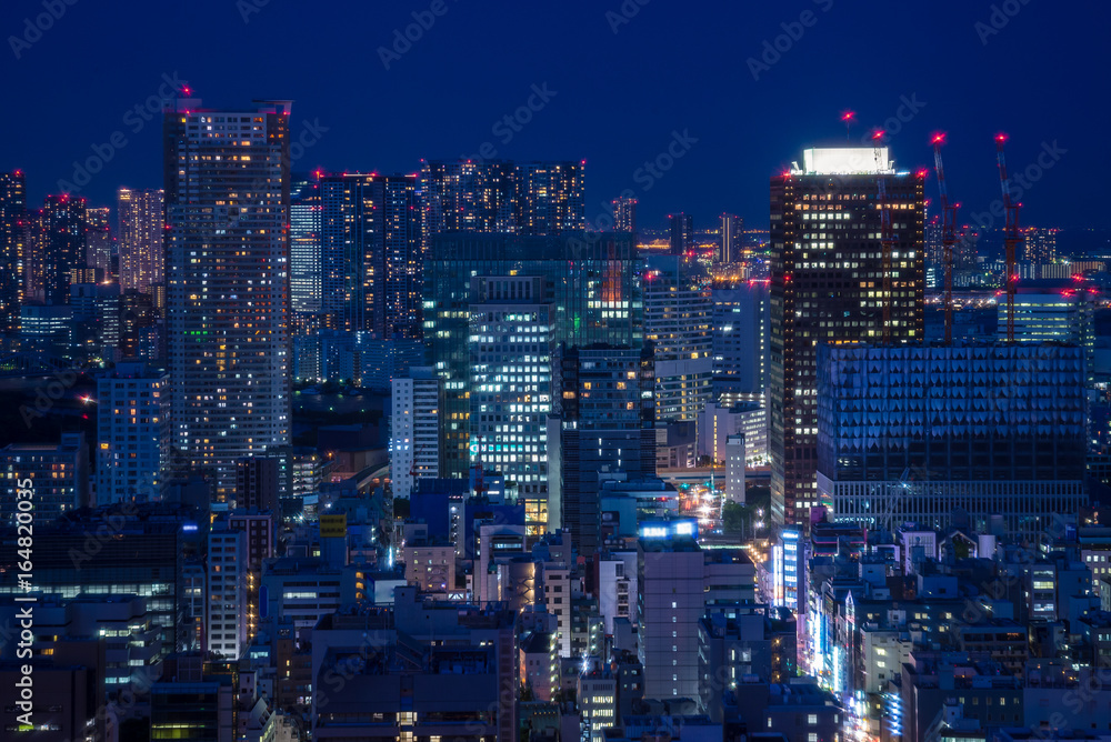 Night view of Tokyo - 東京の夜景１