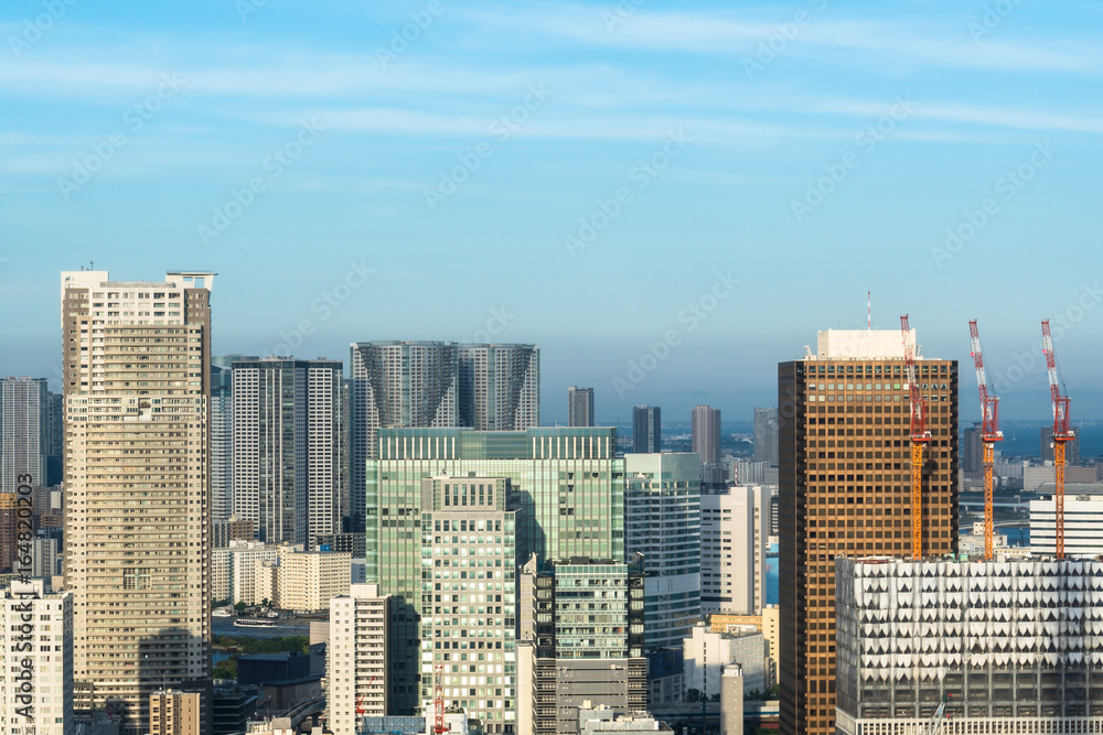Fototapeta premium Urban landscape in Tokyo - 東京の都市風景1