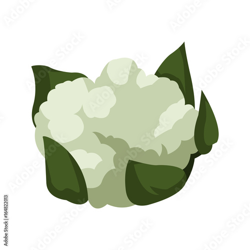 cauliflower with green leaves vegetable healthy food