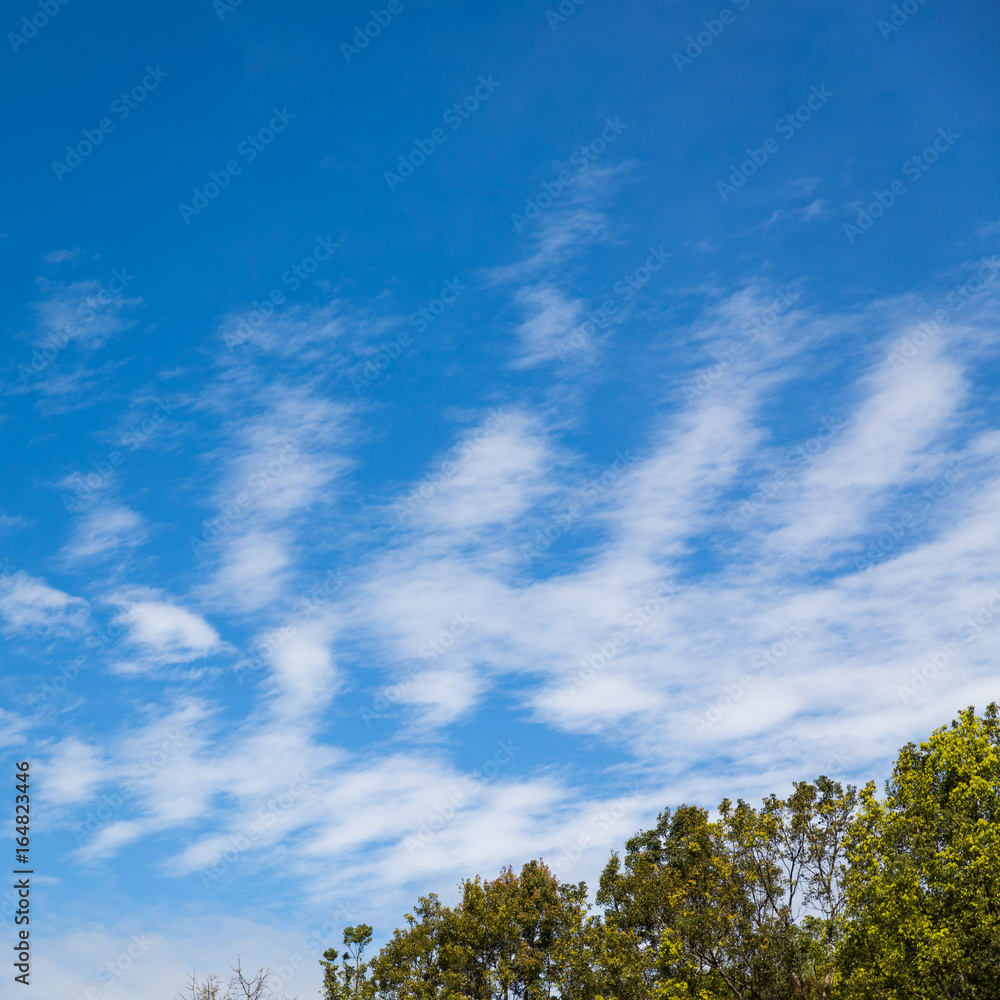 Sky and Cloud Sky and Cloud