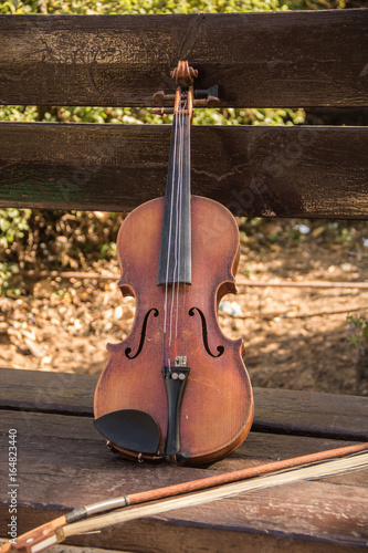 violin on the bench photo