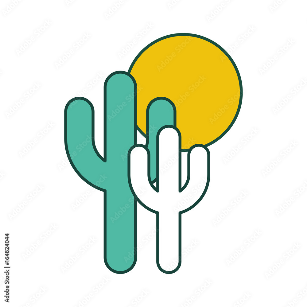 cactus plant isolated icon vector illustration design