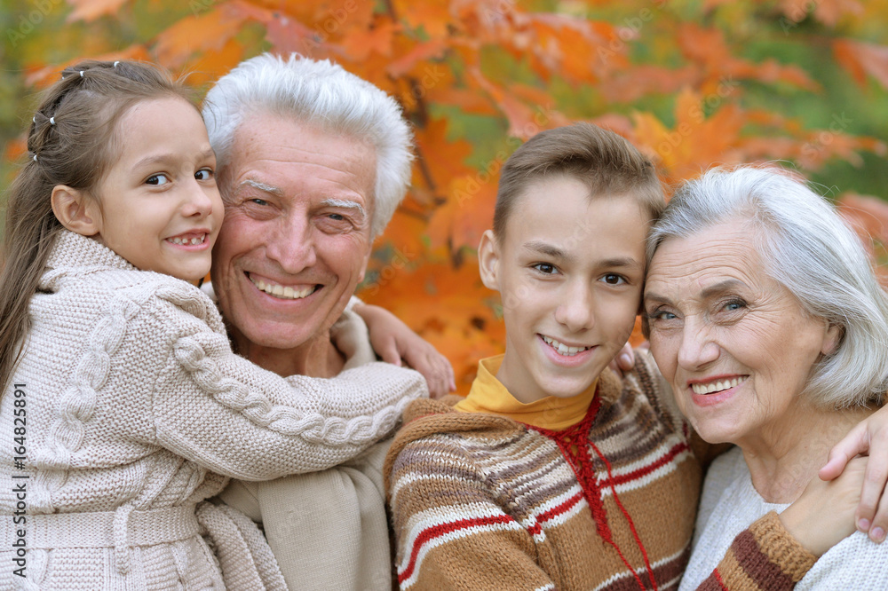 Fototapeta premium grandfather, grandmother and grandchildren in park 