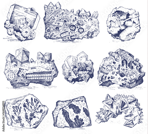 Fossilized plants, stones and minerals, crystals, prehistoric animals, archeology or paleontology. fragment fossils. engraved hand drawn in old sketch and vintage style.