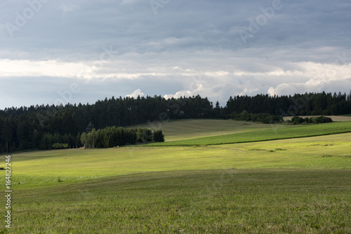 Green meadow near forest under stormy dark clouds © Vladimira