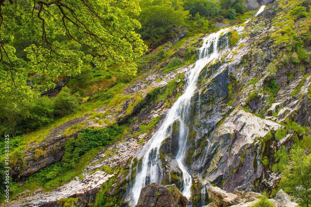 Obraz premium Waterfall at Powerscourt