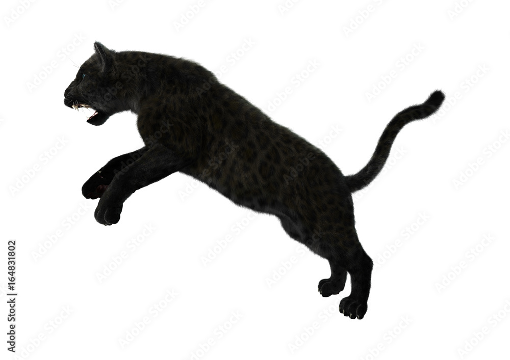 3D Rendering Black Panther on White 3D Rendering Black Panther on White