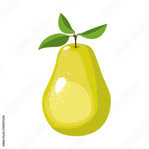 white background with realistic pear fruit vector illustration photo