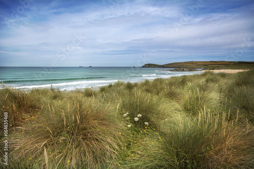 Sand dunes and marram grass Constantine bay 