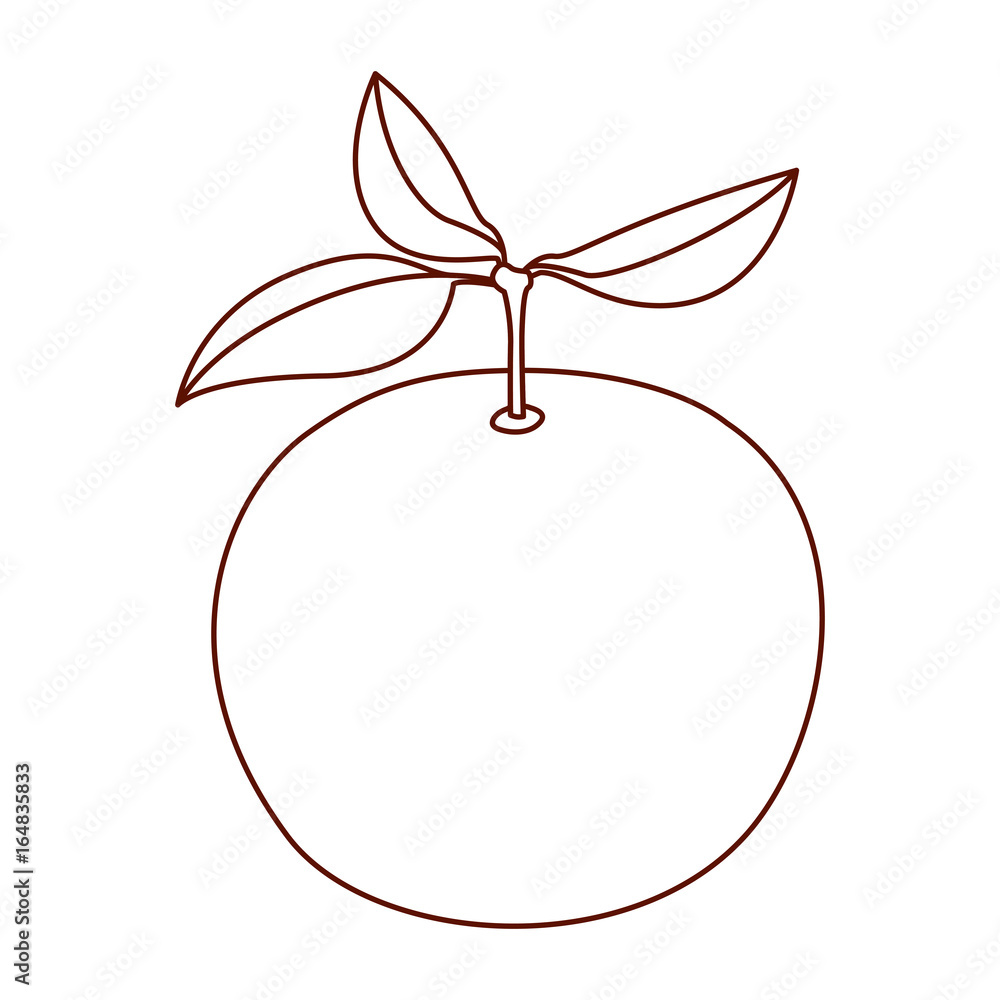 monochrome silhouette of orange fruit vector illustration monochrome silhouette of orange fruit vector illustration
