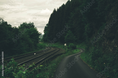 Dark forest railroad background