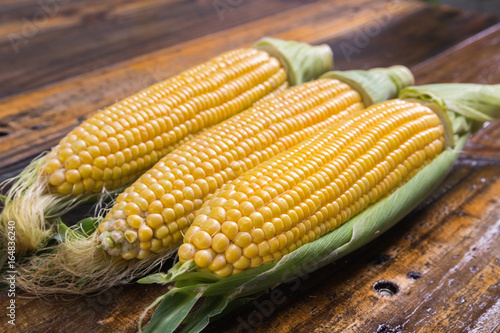 fresh corn cob