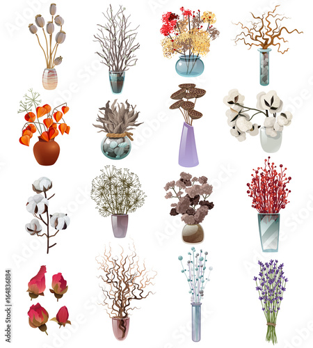 Collection Of Dry Flowers Bouquets In Vases 