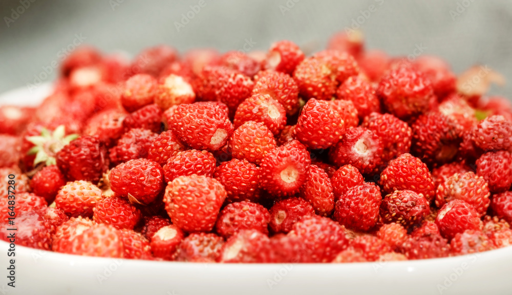 Wild strawberry in white plate close Wild strawberry in white plate close
