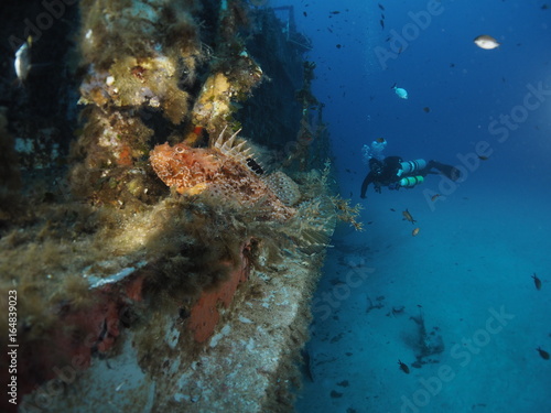 Sidemount Diving - Scorpionfish - P29 Wreck - Cirkewwa Dive Site - Malta