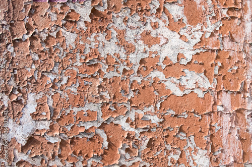 Dirty orange wall covered in peeling paint © Ben R