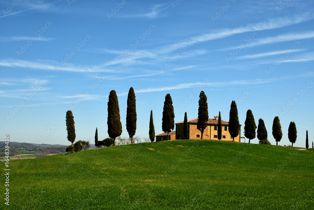 Tuscany landscape, farmland Cipressini, italian cypress trees in spring, green fields. Located in Siena countryside.