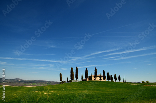 Tuscany landscape, farmland Cipressini, italian cypress trees in spring, green fields. Located in Siena countryside.