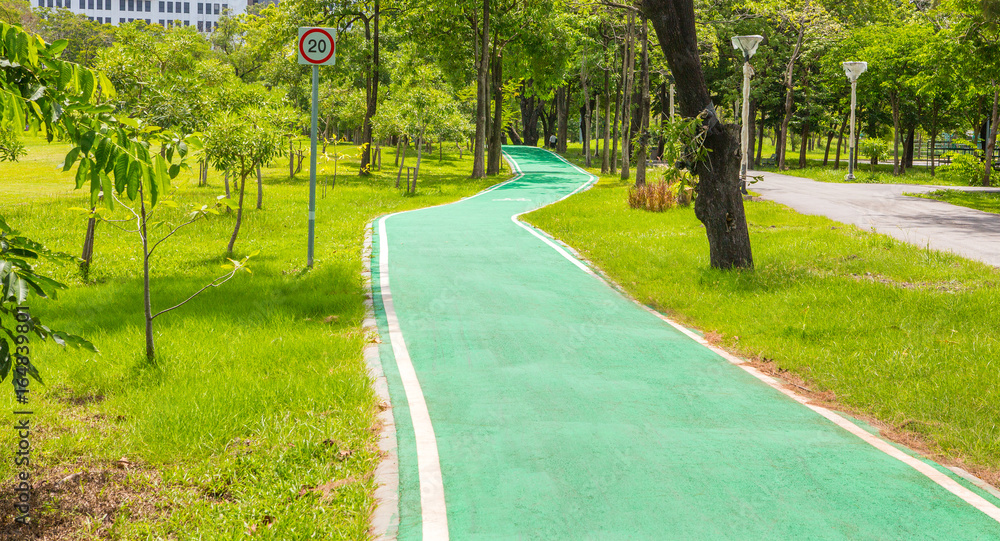 Green bicycle path in the park Green bicycle path in the park
