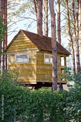 Деревянный домик на сосновых деревьях в лесу © butus