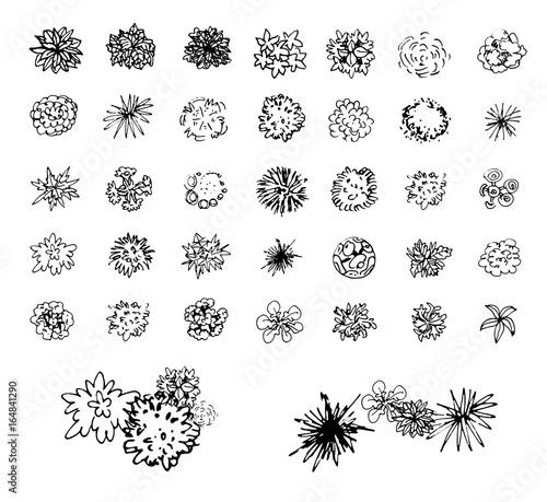 Various trees, bushes and shrubs, top view for landscape design plan. Vector illustration, isolated on white background.