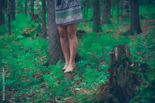 legs in the forest