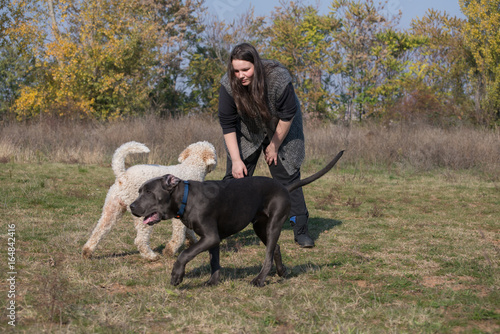 Girl and her dogs photo