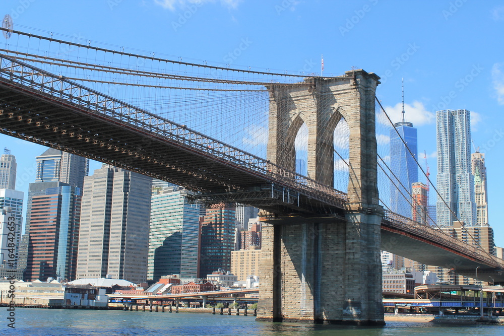 Obraz premium Manhattan New york central park bus yellow usa united states food natural