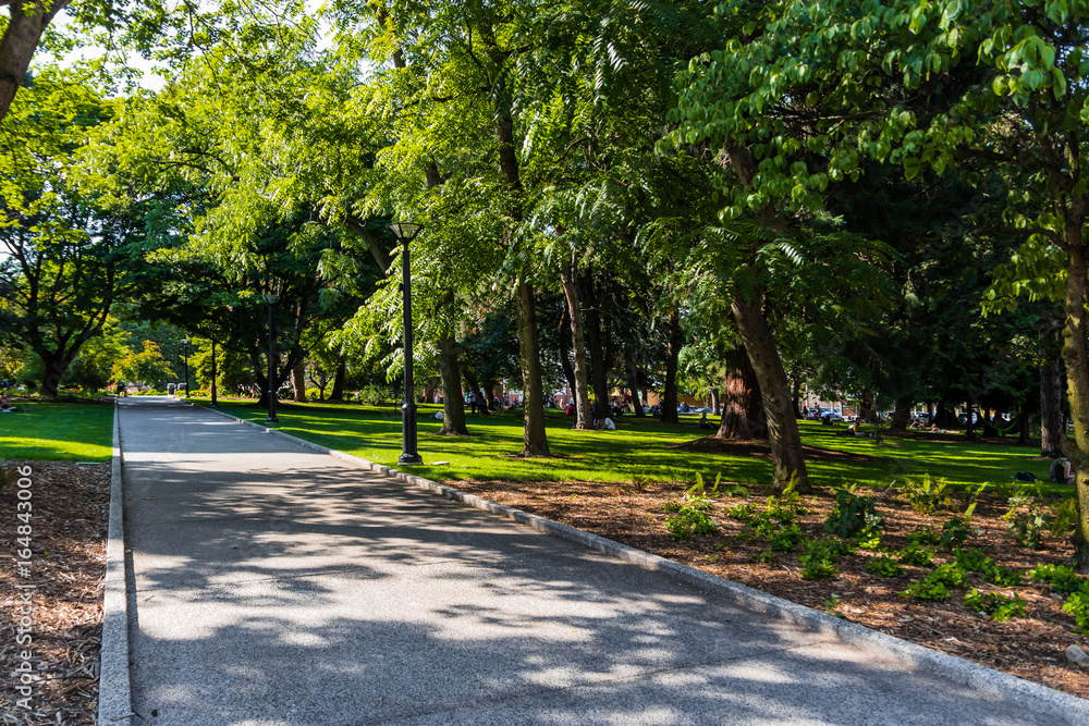 Obraz premium Shady Park