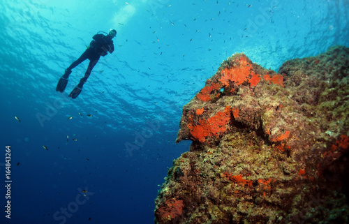 South Reef - Cirkewwa Dive Site - Malta