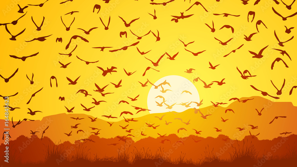 Horizontal illustration flock of birds at sunset.