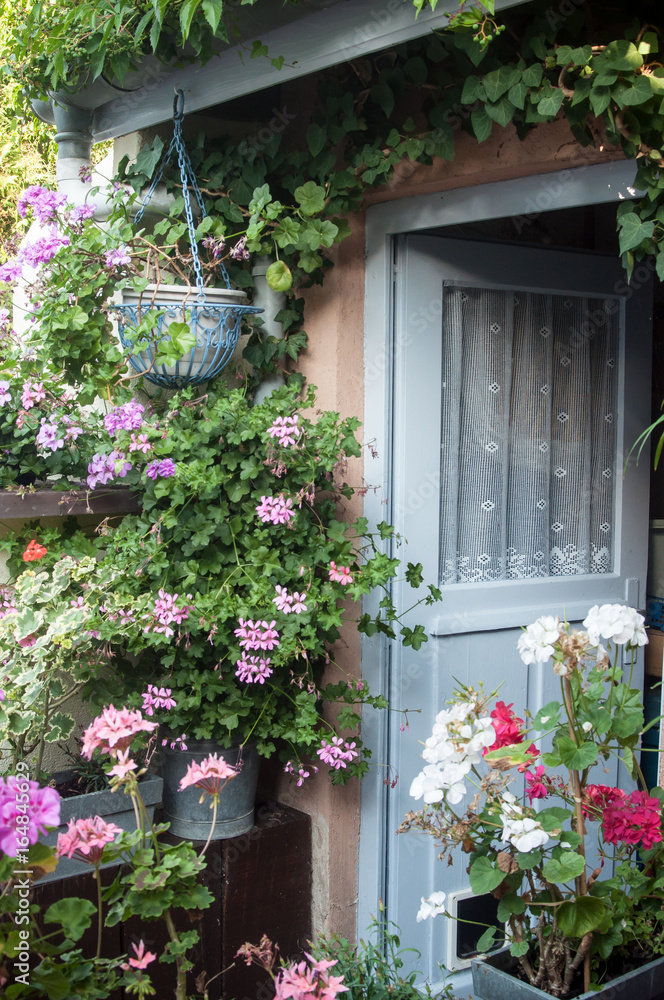 Naklejka premium détail porte de jardin avec des géranium 