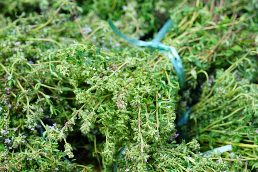 Thyme herb bunches at a French farmers market