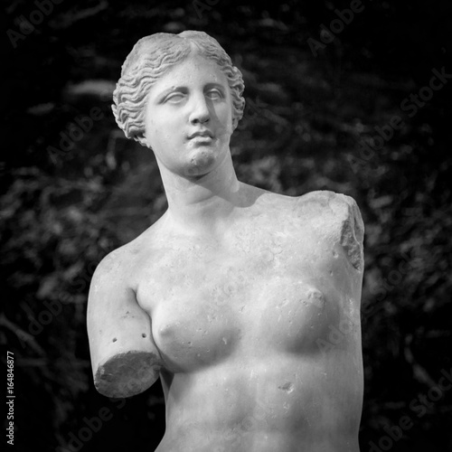 Tableau sur toile Statue of Venus on a dark background