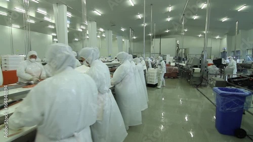 Workers fileting salmon