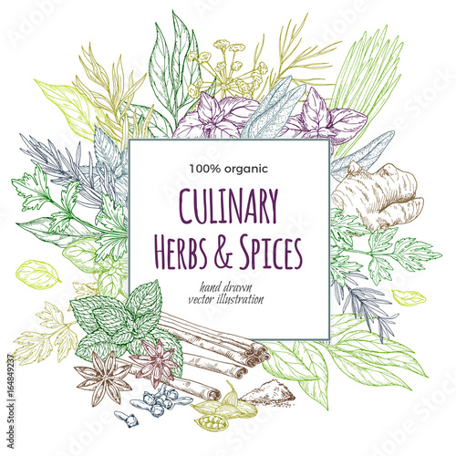 Square banner surrounded by colored sketch herbs and spices