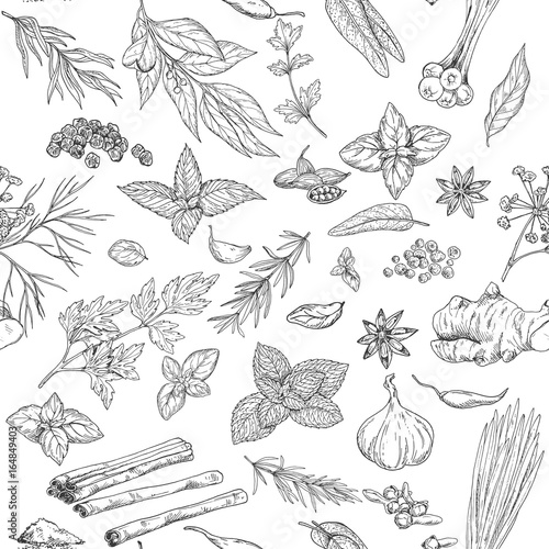 Seamless pattern with hand drawn culinary herbs and spices