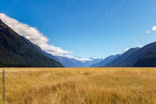 Golden field with mountains and clouds 