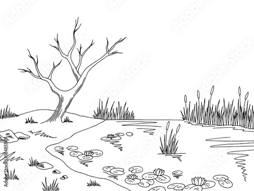 Bog swamp graphic black white landscape sketch illustration vector