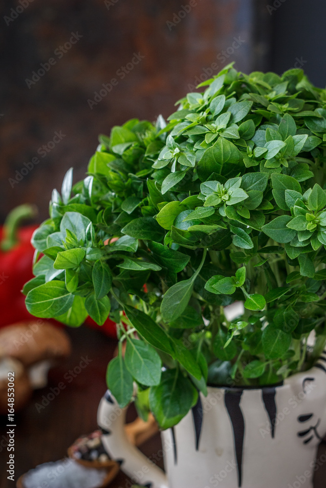 Bazil leaves on kitchen Bazil leaves on kitchen