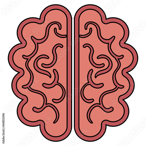 brain storm isolated icon vector illustration design