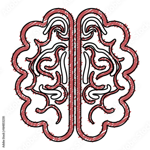 brain storm isolated icon vector illustration design