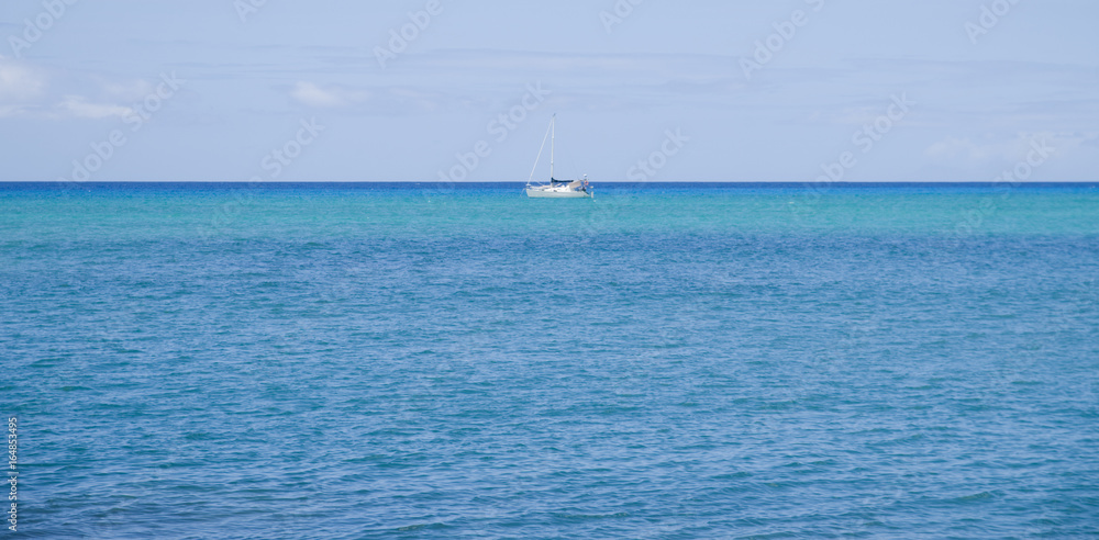Violier sur mer turquoise Violier sur mer turquoise