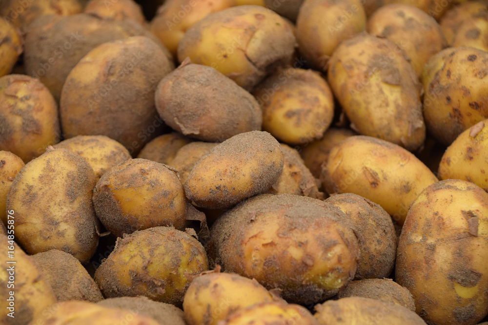Heap of new potato at retail display close up Heap of new potato at retail display close up