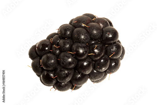 Fresh blackberry isolated on white background macro