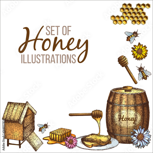 Hand drawn ink sketch illustration, set of honey, organic nature products. Vector
