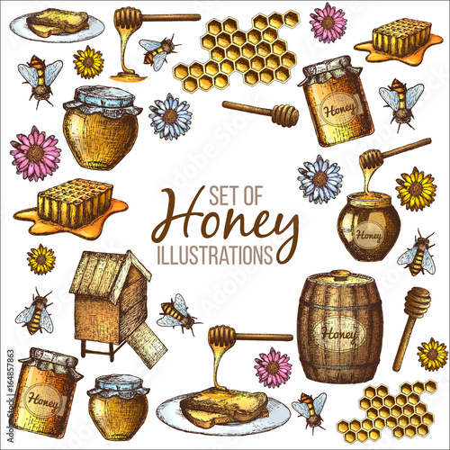 Hand drawn ink sketch illustration, set of honey, organic nature products. Vector