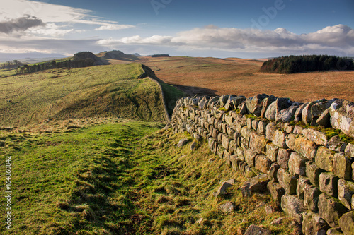 Fototapeta Contrast Fields