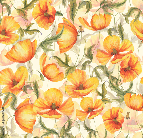 Hand-drawn watercolor floral seamless pattern with the yellow poppy flowers on the white background in vintage style. Natural and vibrant repeated print for textile  wallpaper. Wild blossom