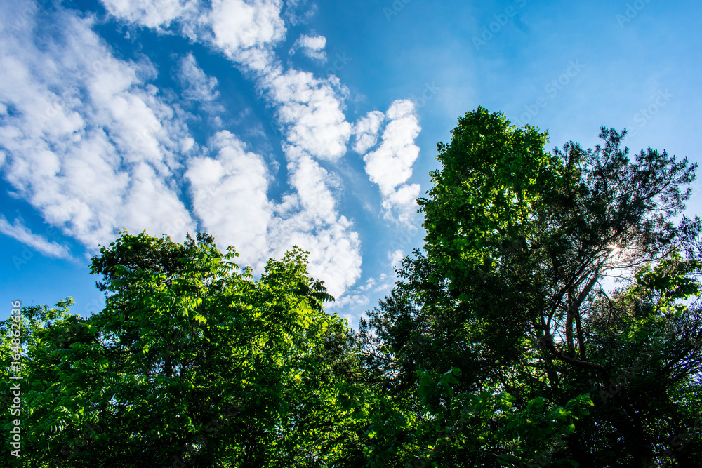 Clouds Clouds